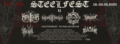 Steelfest 2023 (vol. 11)