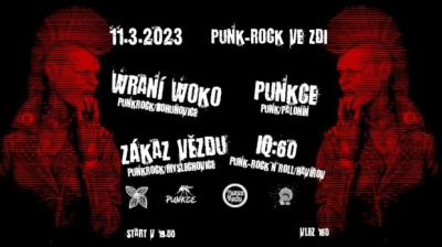 Punkrock ve Zdi