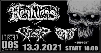 (ZRUŠENO) FLESHLESS | Cuttered Flesh | Wictims | +support