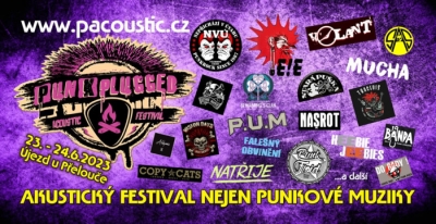 Punkplugged acoustic festival 2023