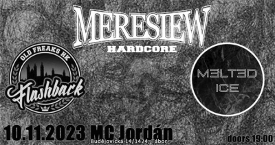 MERESIEW - FLASHBACK - MELTED ICE / Tábor 2023