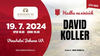 Hudba na vinicích 2024 - Třebívlice - David Koller