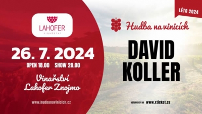 Hudba na vinicích 2024 - Dobšice - David Koller