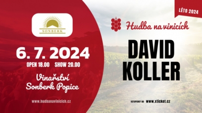 Hudba na vinicích 2024 - Popice - David Koller