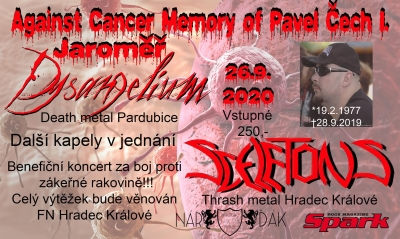 Against Cancer Memory of Pavel Čech Vol I.