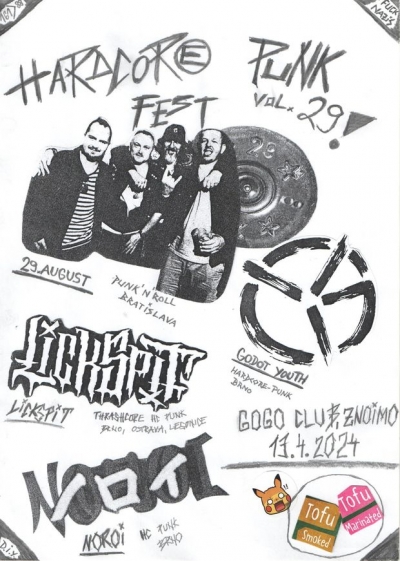 HARDCORE PUNK FEST 2024 (VOL. 29)