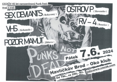 Cecek 45 let Punk Fest