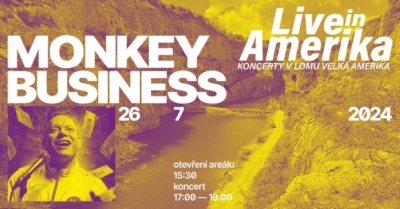 Live in Amerika 2024 - Monkey Business