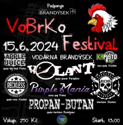 VoBrKo fest 2024 (vol.2)