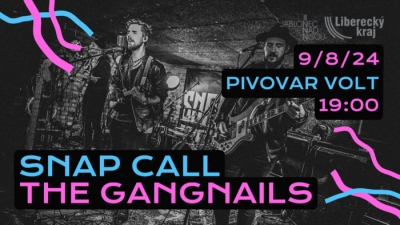 Střídavé napětí vol.5 - Snap Call/The Gangnails