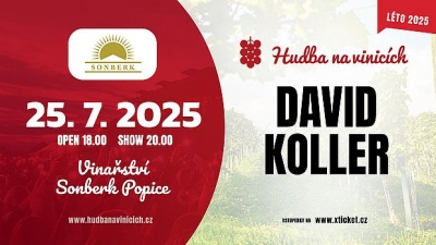 Hudba na vinicích 2025 - Popice - David Koller