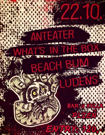 Anteater, WITB, Beach Bum, Ludens - Plzeň