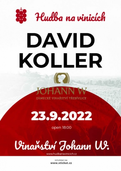 Hudba na vinicích 2022 - Třebívlice - David Koller