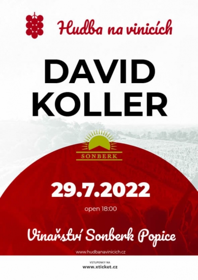 Hudba na vinicích 2022 - Popice - David Koller