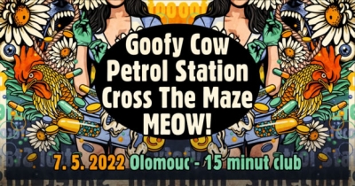 Goofy Cow & Petrol Station & MEOW! & Cross The Maze