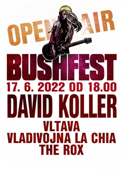 Bushfest open air 2022