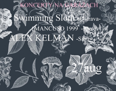 MANCUSO 1999 / Swimming Sloth / ALEX KELMAN