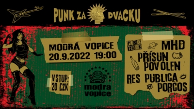 Punk za dvacku XXIX