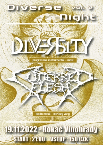 Diverse Night 2022 (vol. V)