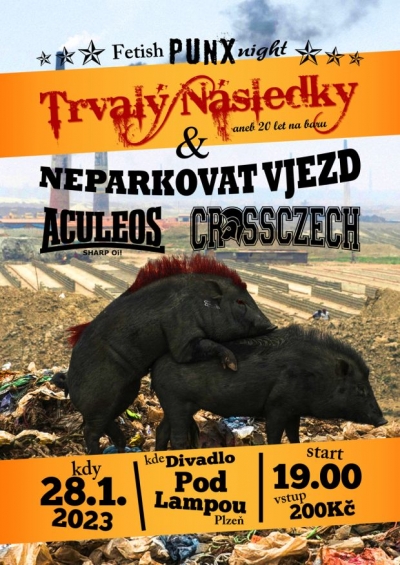 Fetish PUNX night aneb Trvalý Následky slaví 20 let na baru.