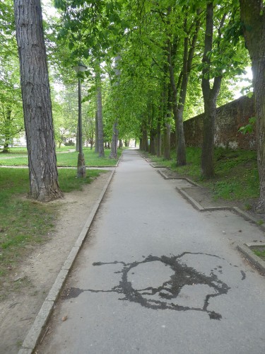 areál (květen 2025) areál (květen 2025)